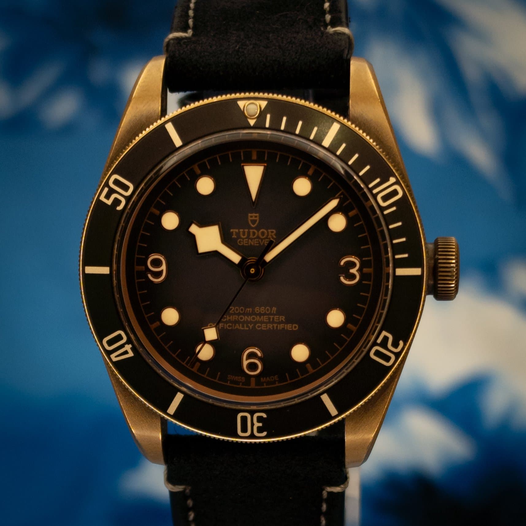 Tudor Tudor Black Bay Bronze 43 Slate Grey Dial (Ref. 79250BA-0001) — photo 19