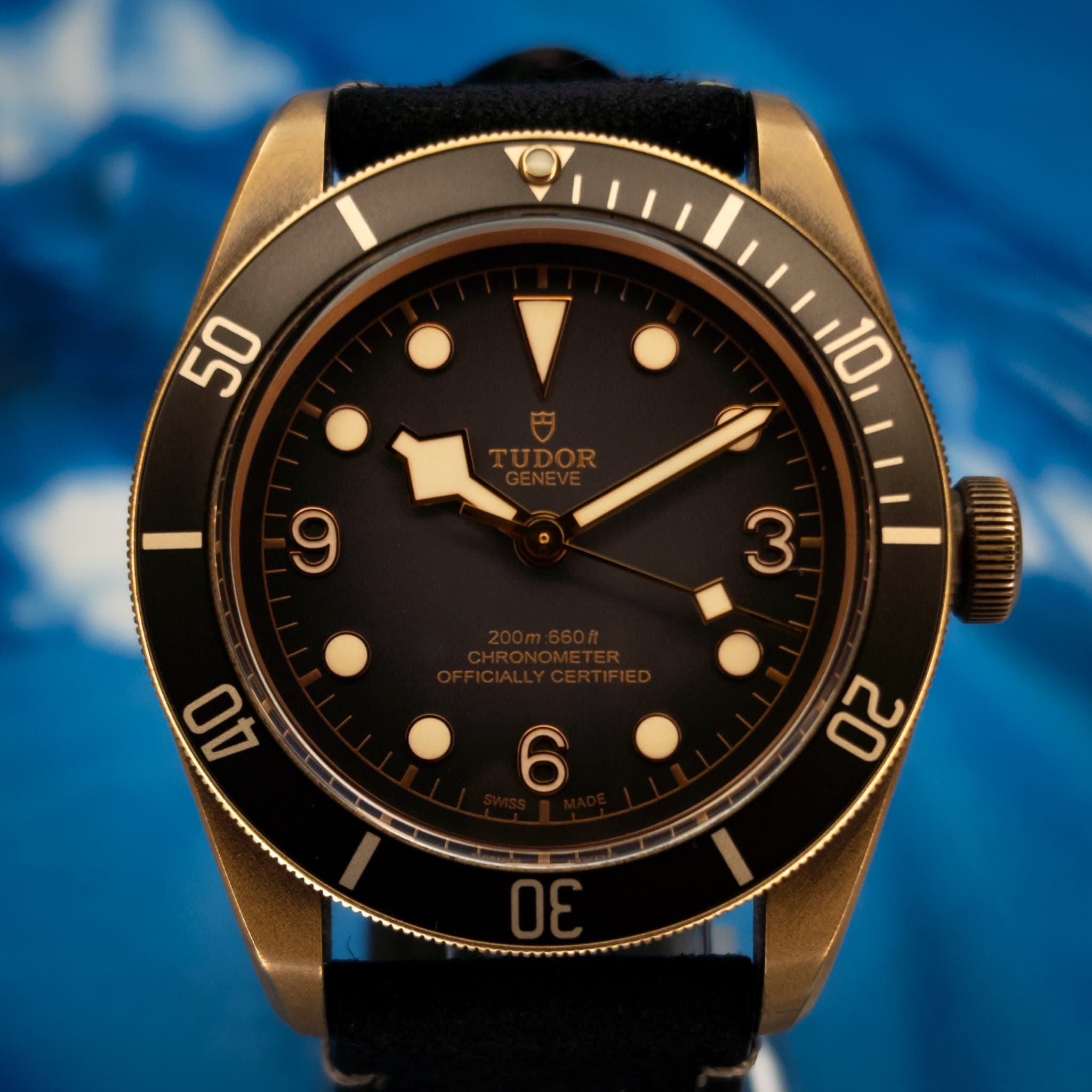 Tudor Tudor Black Bay Bronze 43 Slate Grey Dial (Ref. 79250BA-0001)