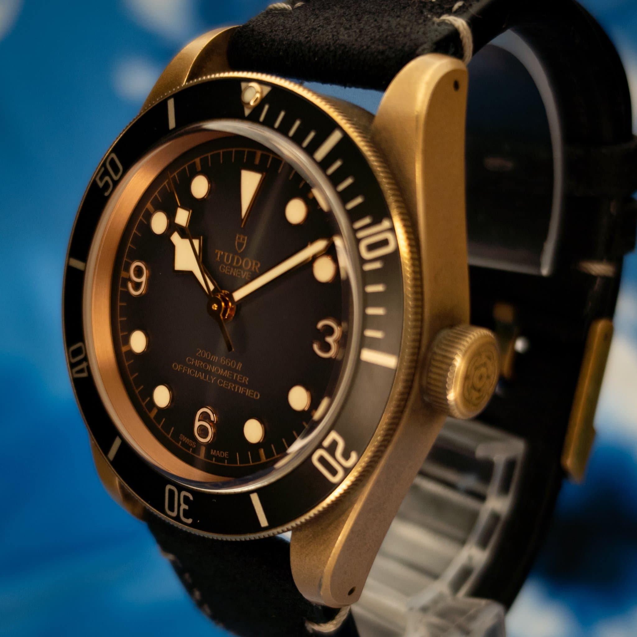 Tudor Tudor Black Bay Bronze 43 Slate Grey Dial (Ref. 79250BA-0001) — photo 4