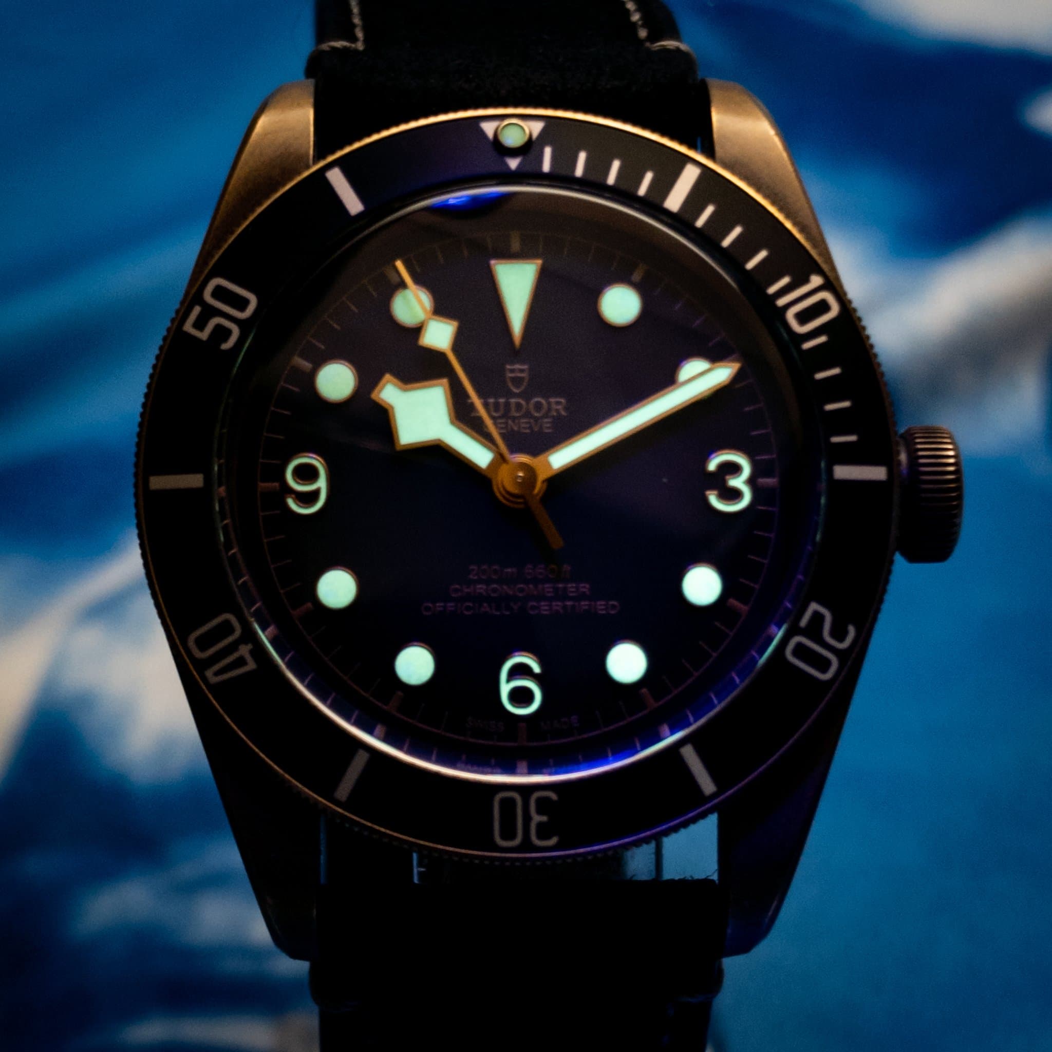 Tudor Tudor Black Bay Bronze 43 Slate Grey Dial (Ref. 79250BA-0001) — photo 8