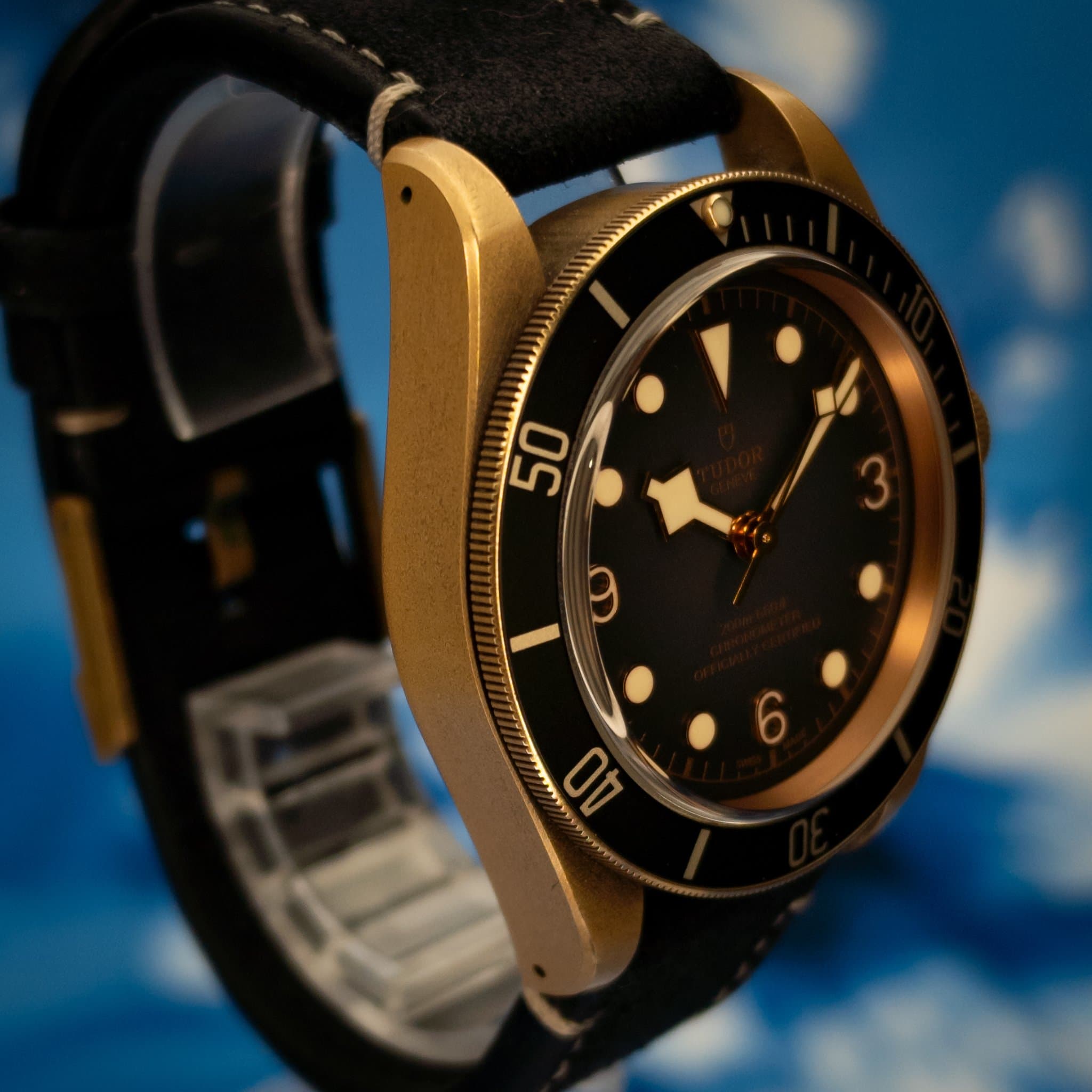 Tudor Tudor Black Bay Bronze 43 Slate Grey Dial (Ref. 79250BA-0001) — photo 3