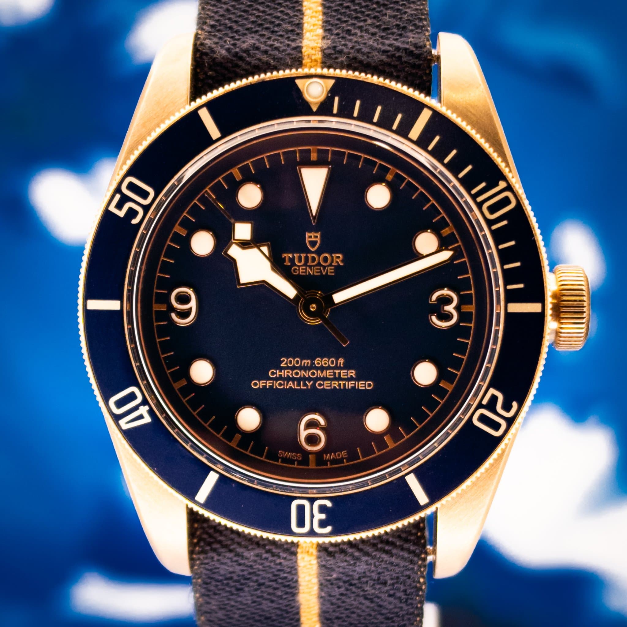 Tudor Black Bay (Ref. 79250BB-0001)
